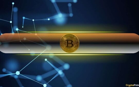 How Taproot Adoption Reshapes Network Dynamics