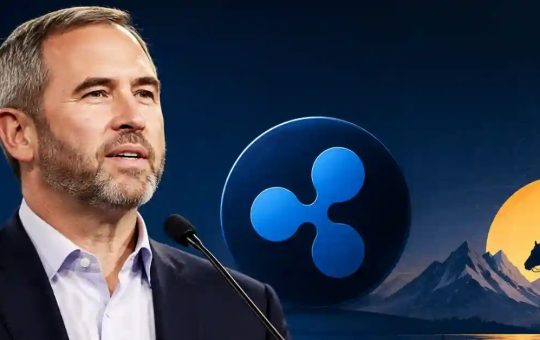 Ripple CEO Says Buy The Top Five Cryptocurrencies; Refuses To Call Solana A Rival To XRP