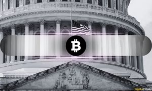 US Is Importing Bitcoin and Exporting Digital Dollars: What Does it Mean?