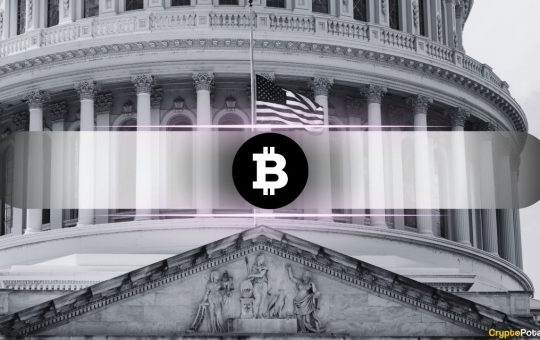 US Is Importing Bitcoin and Exporting Digital Dollars: What Does it Mean?