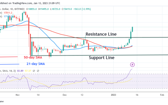 Bitcoin Price Prediction for Today, January 13: BTC Is on a Bullish Run to a High of $20.9K