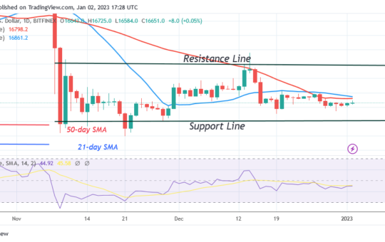Bitcoin Price Prediction for Today, January 2: BTC Price Remains Flat Above $16K