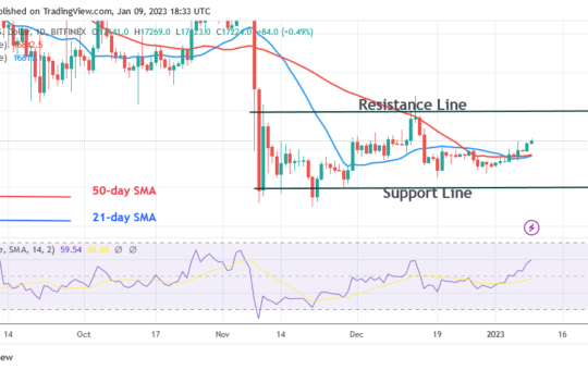 Bitcoin Price Prediction for Today, January 9: BTC Price Rises but Encounters Initial Resistance at $17.4K
