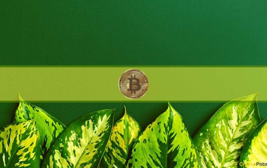 Bitcoin Surges Past $22k Triggering Another $250 Million in Liquidations