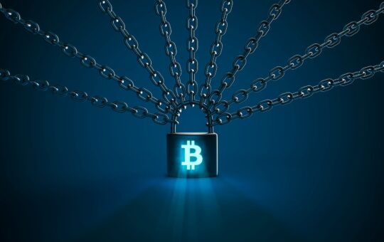 Nearly 13 million bitcoins have not moved in over a year, an all-time high