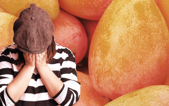 SEC Charges Mango Markets Attacker With Manipulating Price of ‘Security’