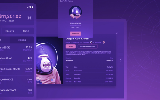 Solflare Wallet Brings 'Priority' Gas Fees to Solana