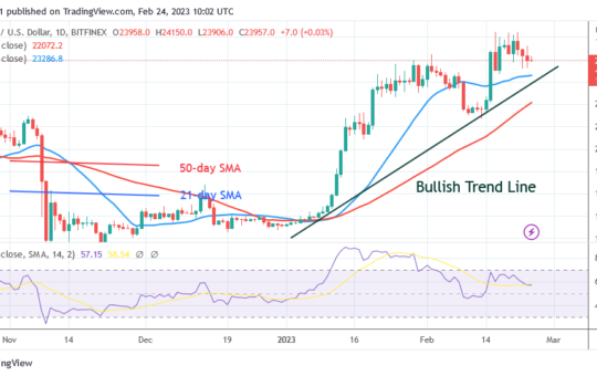 Bitcoin Price Prediction for Today, February 24: BTC Falls as It Might Recur at $23.5K