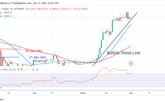 Bitcoin Price Prediction for Today, January 31: BTC Price Declines as It Returns to the $23K Support