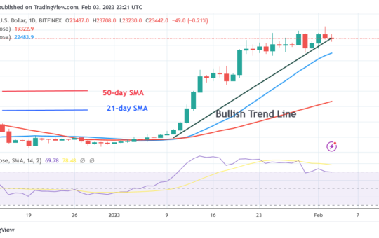 Bitcoin Price Prediction for Today, February 3: BTC Price Is in a Range as It Pauses Above $23K Support