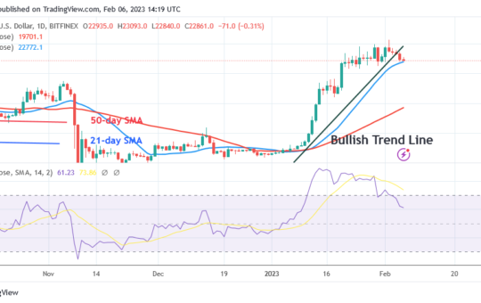 Bitcoin Price Prediction for Today, February 5: BTC Price Is on the Verge of Falling More as It Holds Above $22.6K