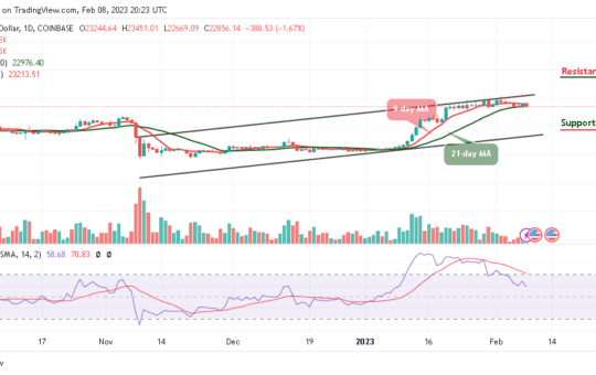 Bitcoin Price Prediction for Today, February 8: BTC/USD Could Form Decent Support at $22,500 Level