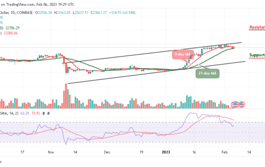 Bitcoin Price Prediction for Today, February 6: BTC/USD Could Turn Attractive Above $23,000
