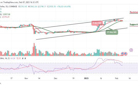 Bitcoin Price Prediction for Today, February 7: BTC/USD May Retrace Above $24,000