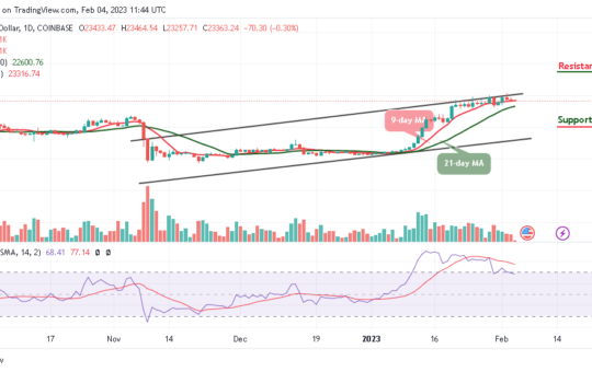 Bitcoin Price Prediction for Today, February 4: BTC/USD Resumes Consolidation, Will it Plunge Below $23K?