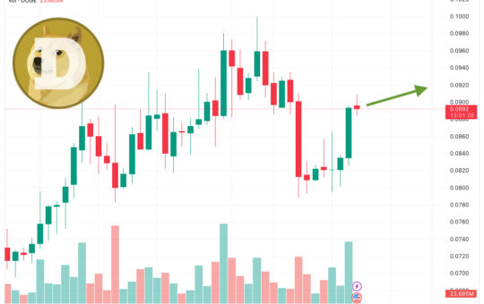 Dogecoin Price Prediction as Elon Musk Posts Photo of His Dog on Twitter – Is Elon Buying More DOGE?