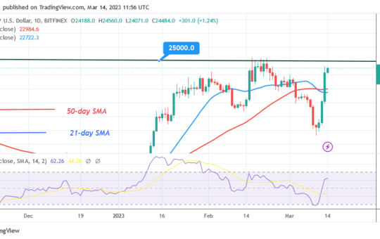 Bitcoin Price Prediction for Today, March 14: BTC Price Is Recovering as It Approaches the $25K Mark