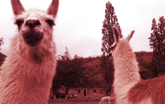 DefiLlama Team Fractures Over Potential Token Launch