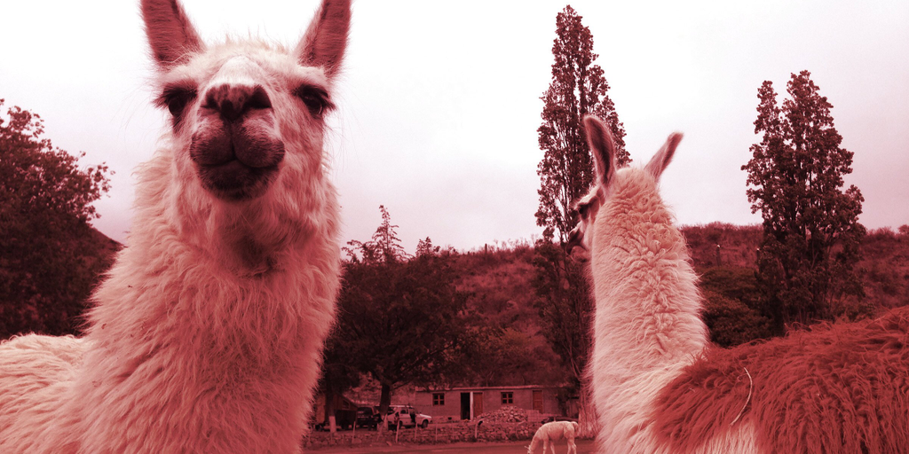 DefiLlama Team Fractures Over Potential Token Launch