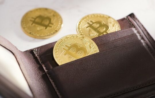 Top 10,000 Bitcoin investors control one-third of the supply