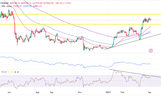 Bitcoin Price Holds at $28,000 -Can We Expect A Leap This Week?