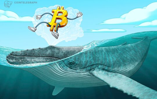 Bitcoin 'mega whales' send BTC price to $30K as volatility hits crypto