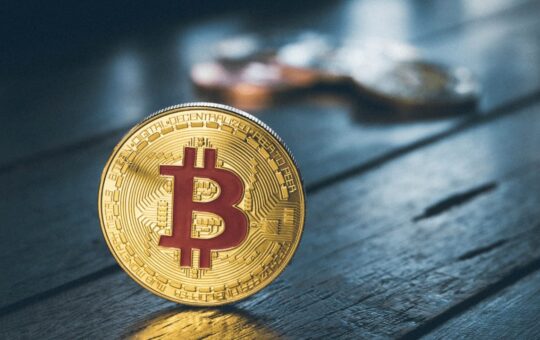 "Wholecoiner" Addresses With More than 1 Bitcoin Doubled Since 2016