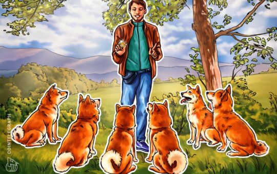 Will Shiba Inu tail Dogecoin’s price rally?