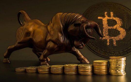 Bitcoin Bull Run