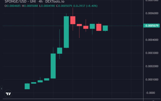 How This Crypto Wallet Turned $50k to $500k In A Day With New Meme Coin $SPONGE
