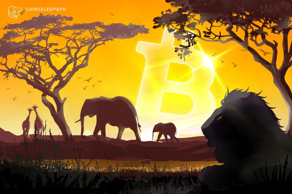 IMF optimism in Central African Republic, despite Bitcoin adoption