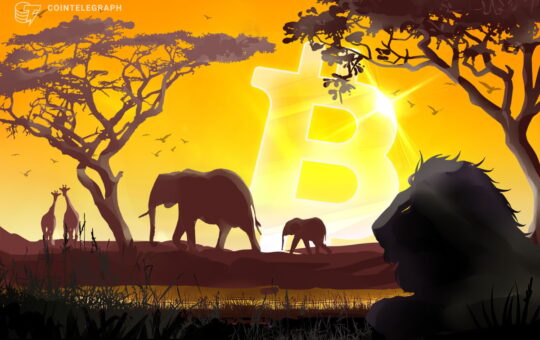 IMF optimism in Central African Republic, despite Bitcoin adoption