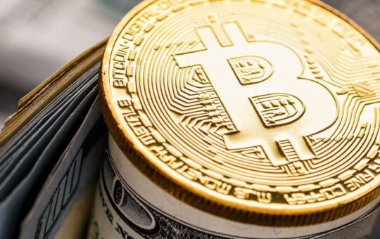 There's Now a Dollar-Backed Stablecoin on Bitcoin Using Ordinals Protocol