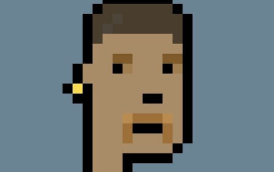 $95K CryptoPunk NFT Burned by Bitcoin Bandits, Revived as Ordinals Inscription