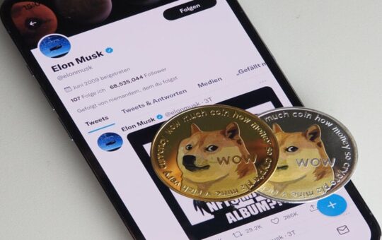Dogecoin Investors Decry 'Dirty Tactics' by Elon Musk Lawyers in Insider Trading Case
