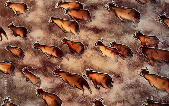 Rising institutional interest is a ‘bullish’ sign for crypto: SEBA Bank exec