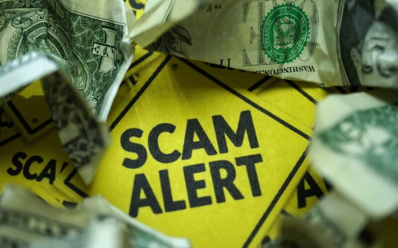 Arbitrum-Based DeFi Project Chibi Finance Rug Pulled: Over $1 Million Drained