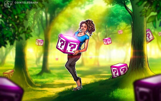 What are NFT mystery boxes, and how do they work?