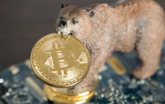 Bear Market 'Much Worse Than Expected’: Analysts Pitch New Bitcoin Economy Framework