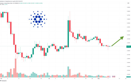 Cardano Price Prediction as Blockchain Transactions Surge Up Nearly 50% in 3 Months – Are Whales Moving to Cardano?