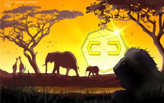 Commodity tokenization is the economic aid Africa needs