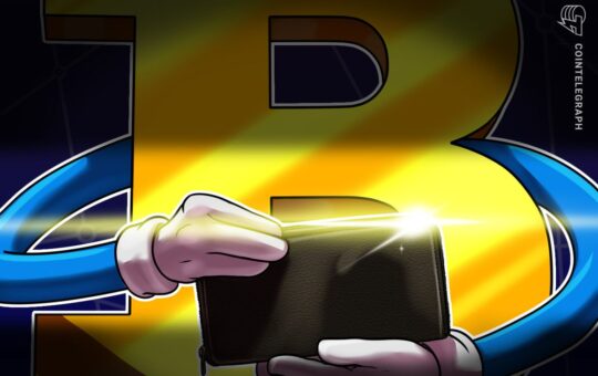 Mysterious Bitcoin wallet becomes 3rd largest BTC holder in 3 months