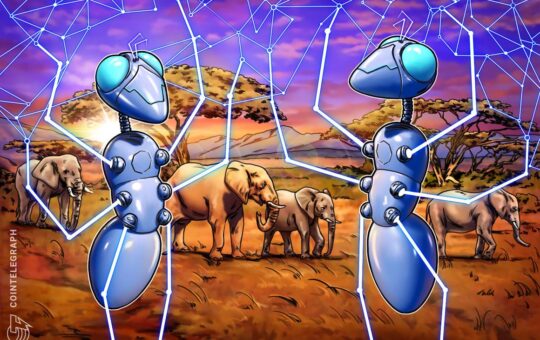 Africa’s blockchain journey begins with poverty alleviation — Sumotrust CEO