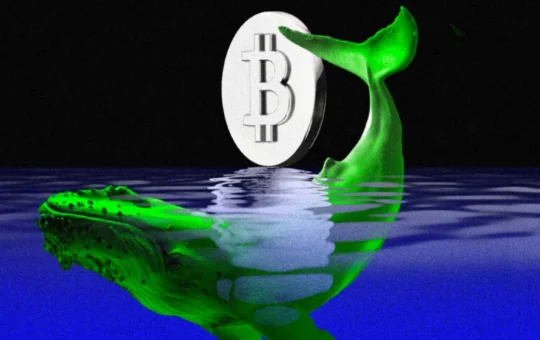 Will Whales Trigger Bitcoin (BTC) Price Rally Ahead of Fed Meeting? 