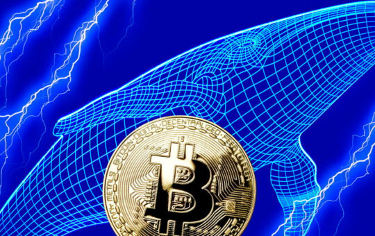 Bitcoin Whales and Ethereum Whales Are Not the Same: Glassnode