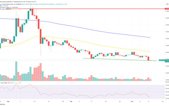 Shiba Inu Price Prediction as SHIB Could Skyrocket to $0.00003000 – Will History Repeat Itself with an 822% October Surge?