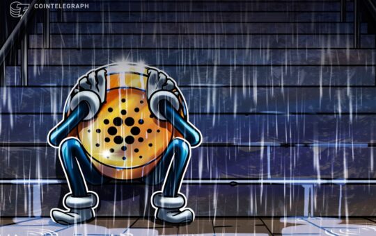 Cardano upgrade delays tied to measured academic approach — CEO