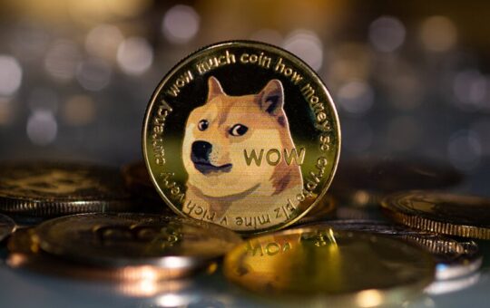 Dogecoin Sweepstakes Case Heads to the Supreme Court
