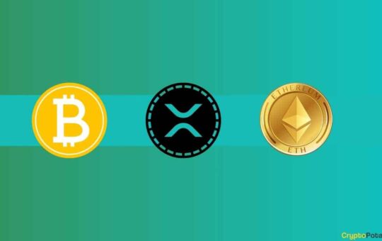 Pro-Ripple (XRP) Expert Reveals His Top 10 Cryptocurrencies to Hold in 2024