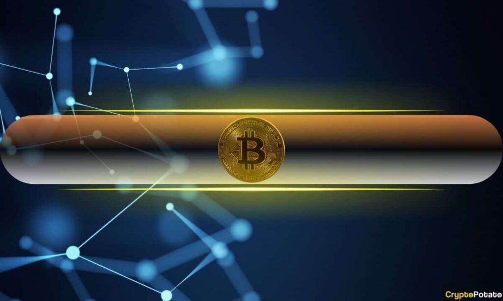 How Taproot Adoption Reshapes Network Dynamics